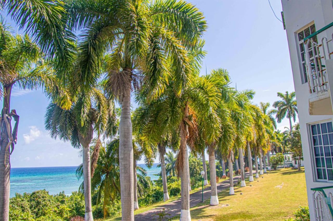 Malibu Ocean View Studio Leilighet Montego Bay Eksteriør bilde