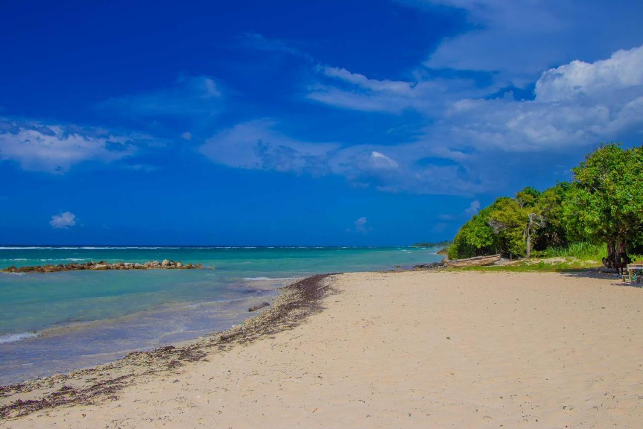Malibu Ocean View Studio Leilighet Montego Bay Eksteriør bilde